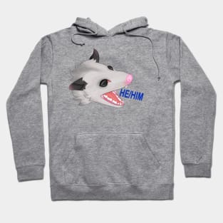 Pronoun opossum he / him Hoodie